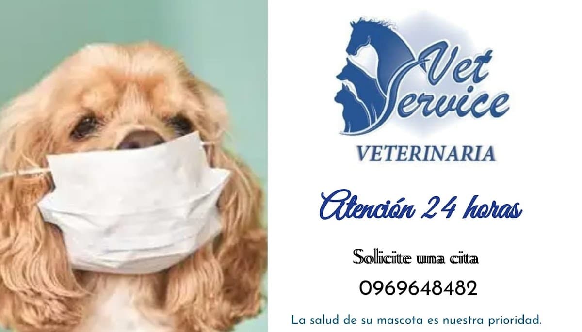 CLÍNICA VETSERVICE VETERINARIA 24 HORAS