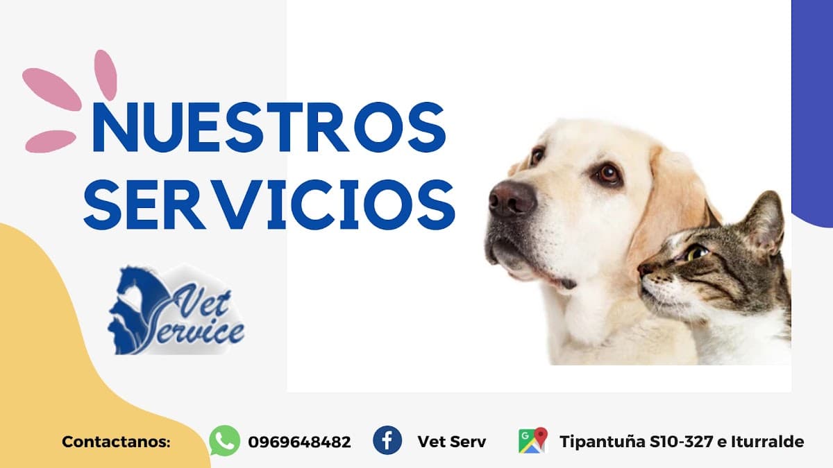 CLÍNICA VETSERVICE VETERINARIA 24 HORAS — foto