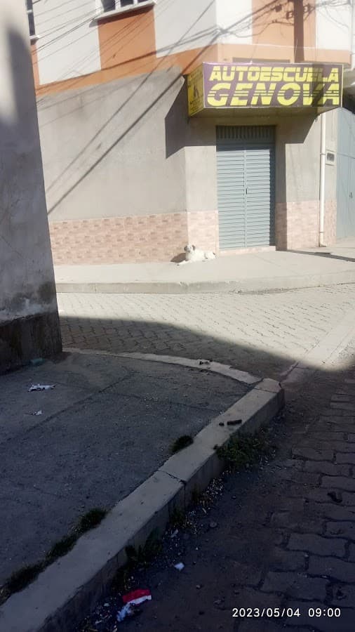 CECAT AUTOESCUELA GENOVA
