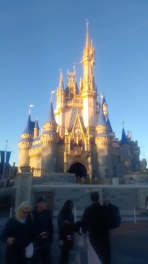 Viva Orlando Travel Agency — foto