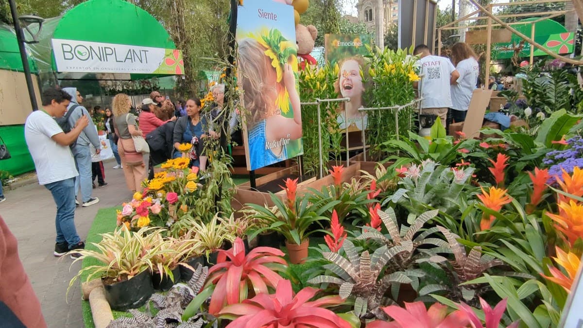 Parque Kennedy — foto
