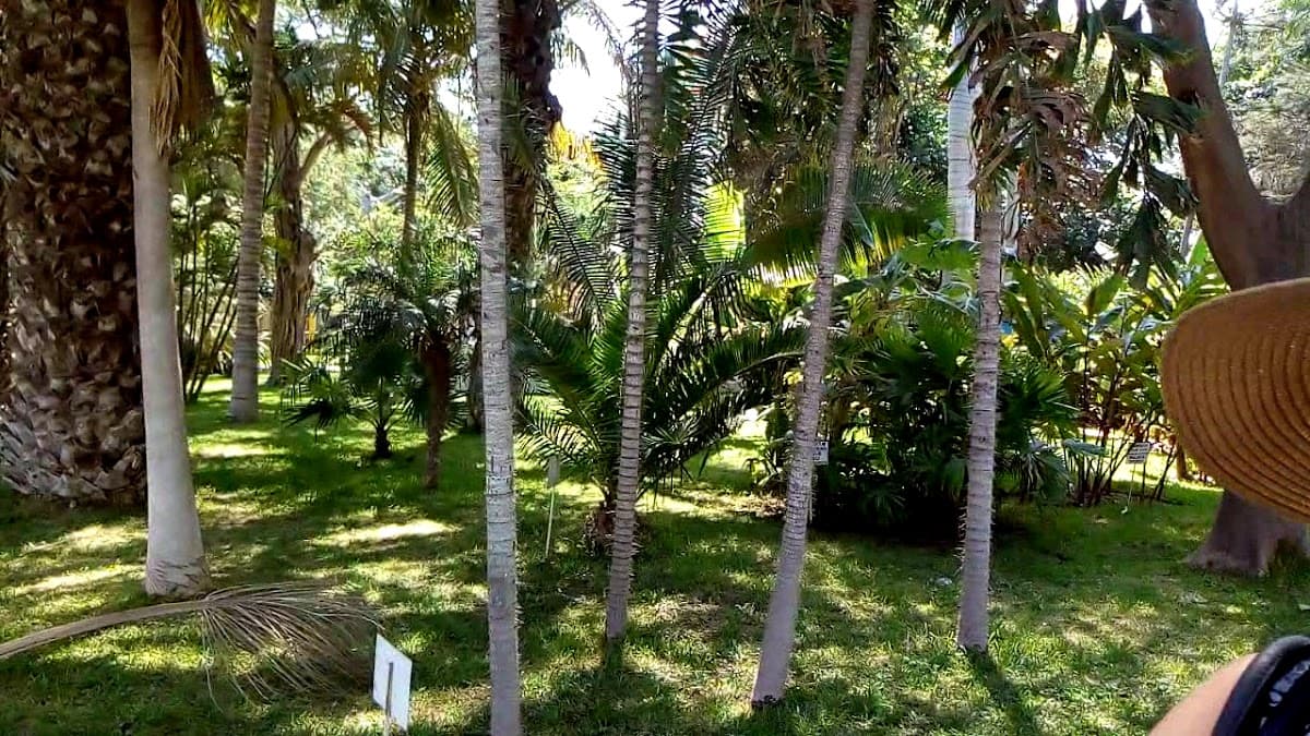 Parque Infantil de Chiclayo — foto