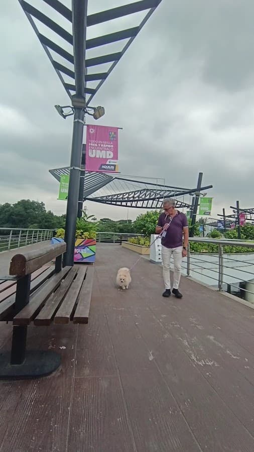 Parque Lineal del Estero Salado — foto