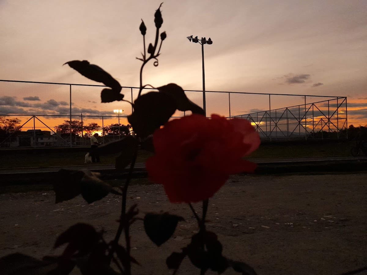 Parque Camilo Torres — foto