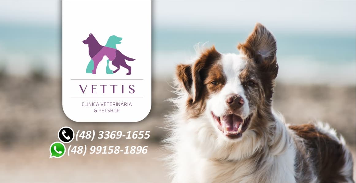 Vettis Clínica Veterinária 24h | Ingleses | Florianópolis — foto