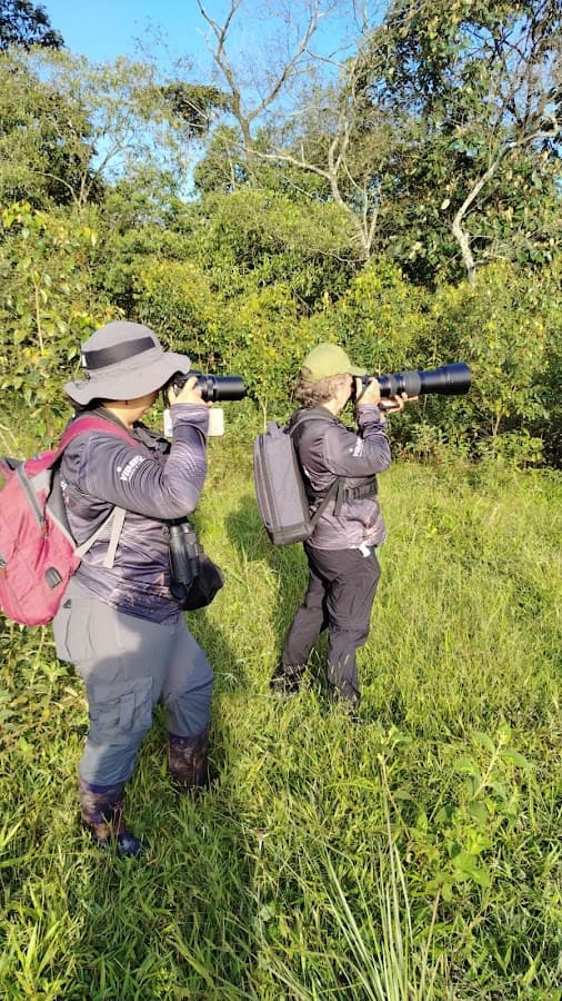 Villavistar — foto