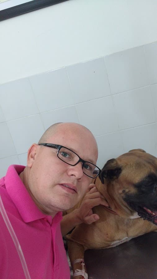Veterinaria Huellitasjdg — foto