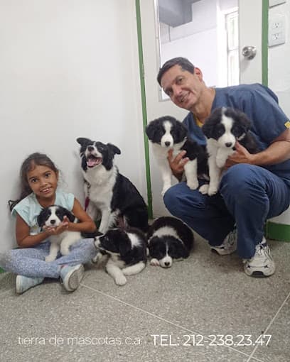 Tierra De Mascotas — foto