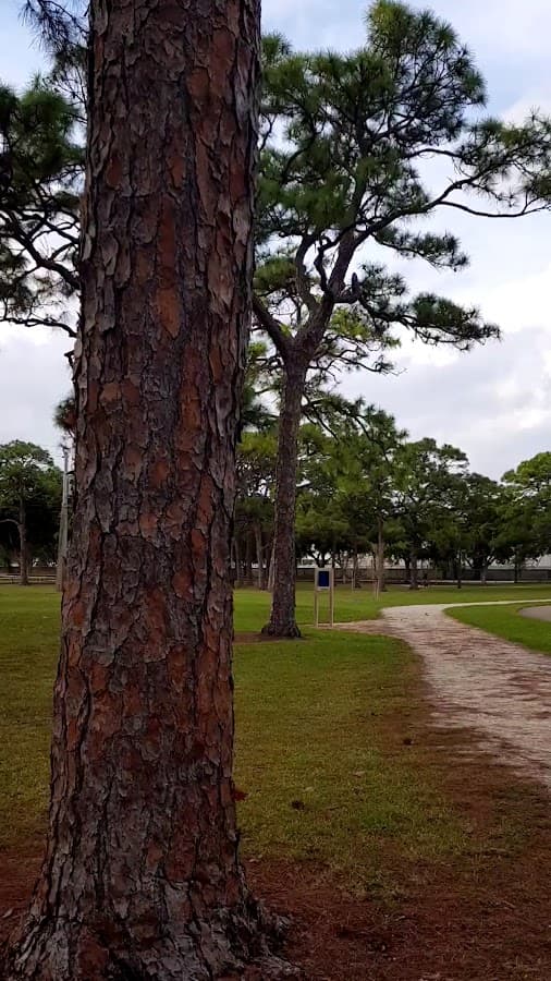 Holiday Park — foto