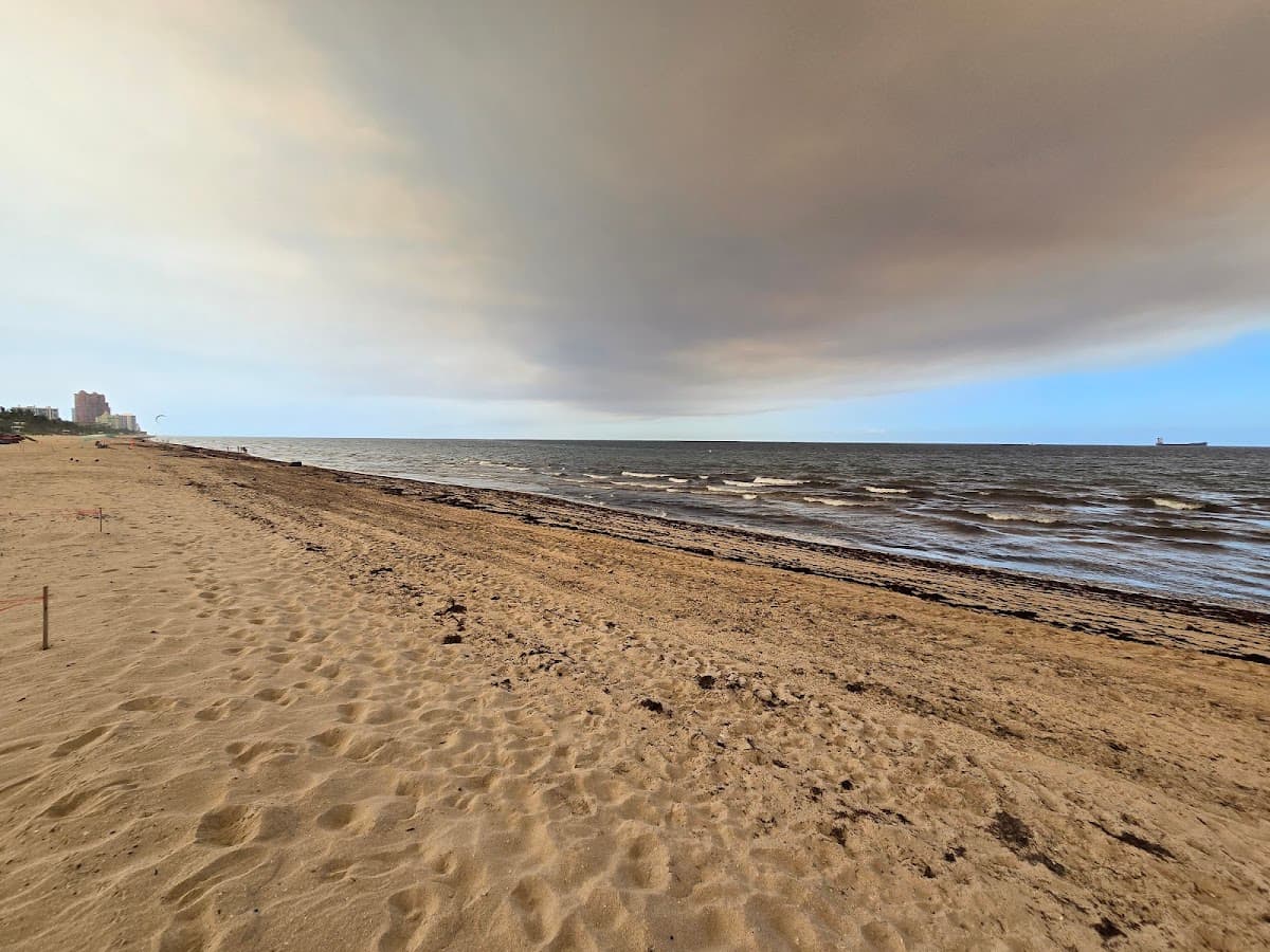 Hugh Taylor Birch State Park — foto