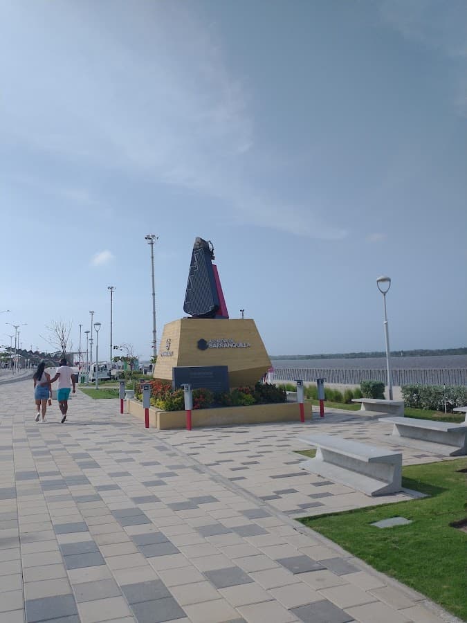 Patinetaxx — foto