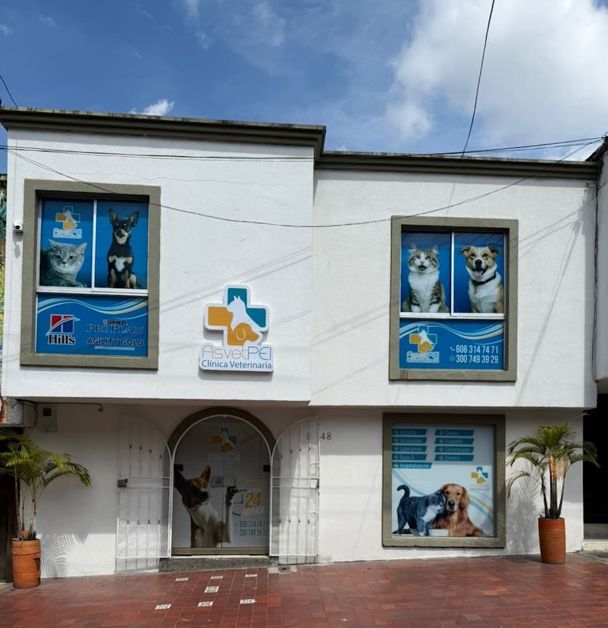 Asvet Clínica Veterinaria