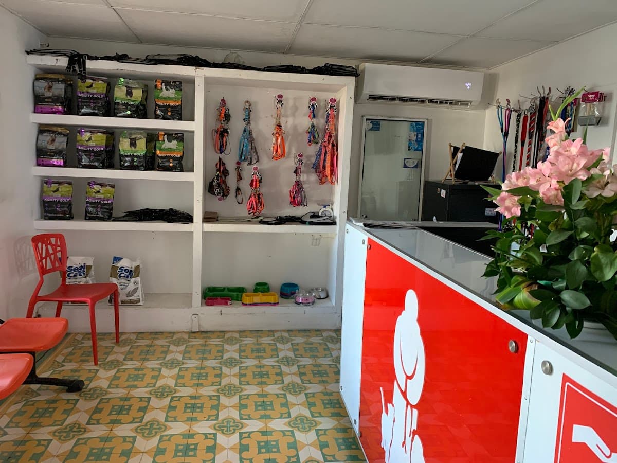 Clinica Veterinaria San Francisco de Asis