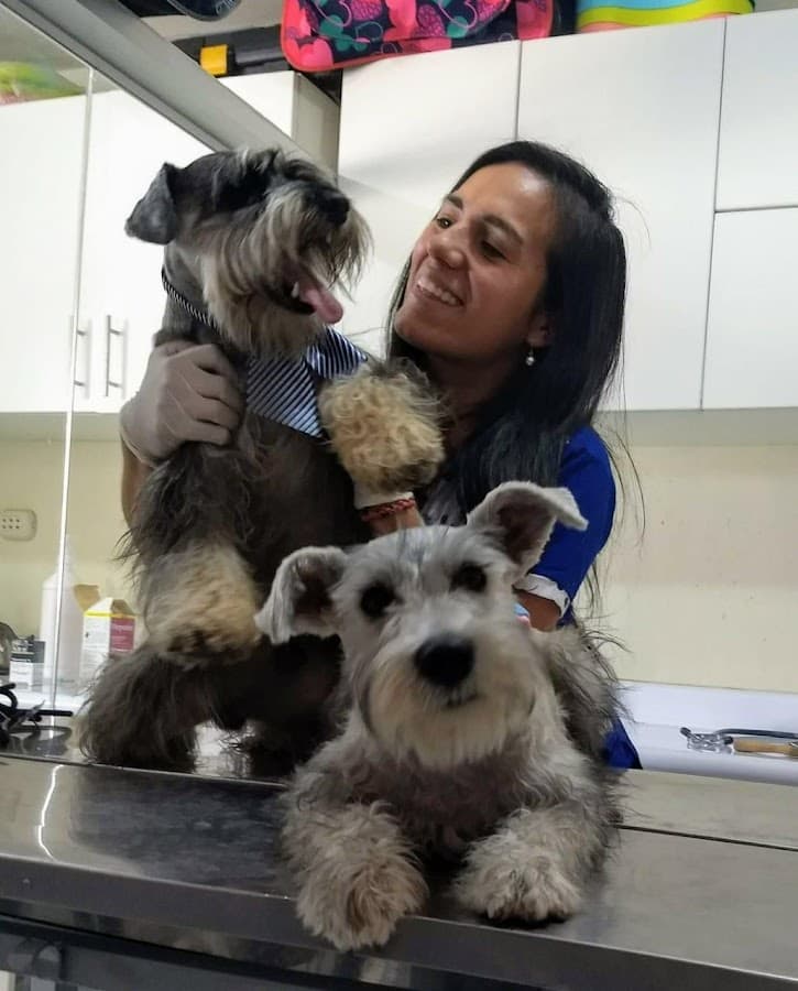San Jerónimo Veterinaria y Spa — foto