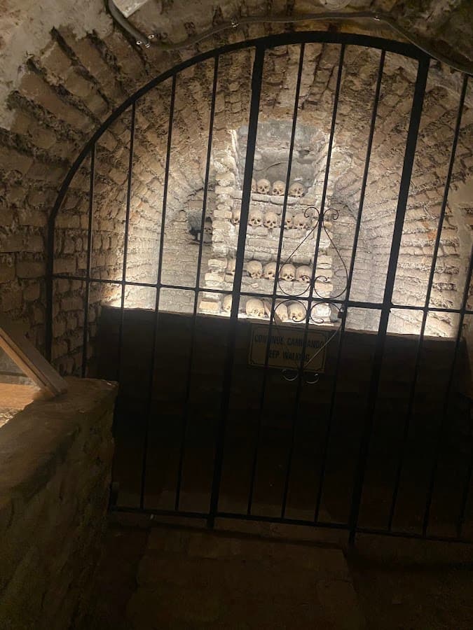 Museo del Convento de San Francisco y Catacumbas — foto