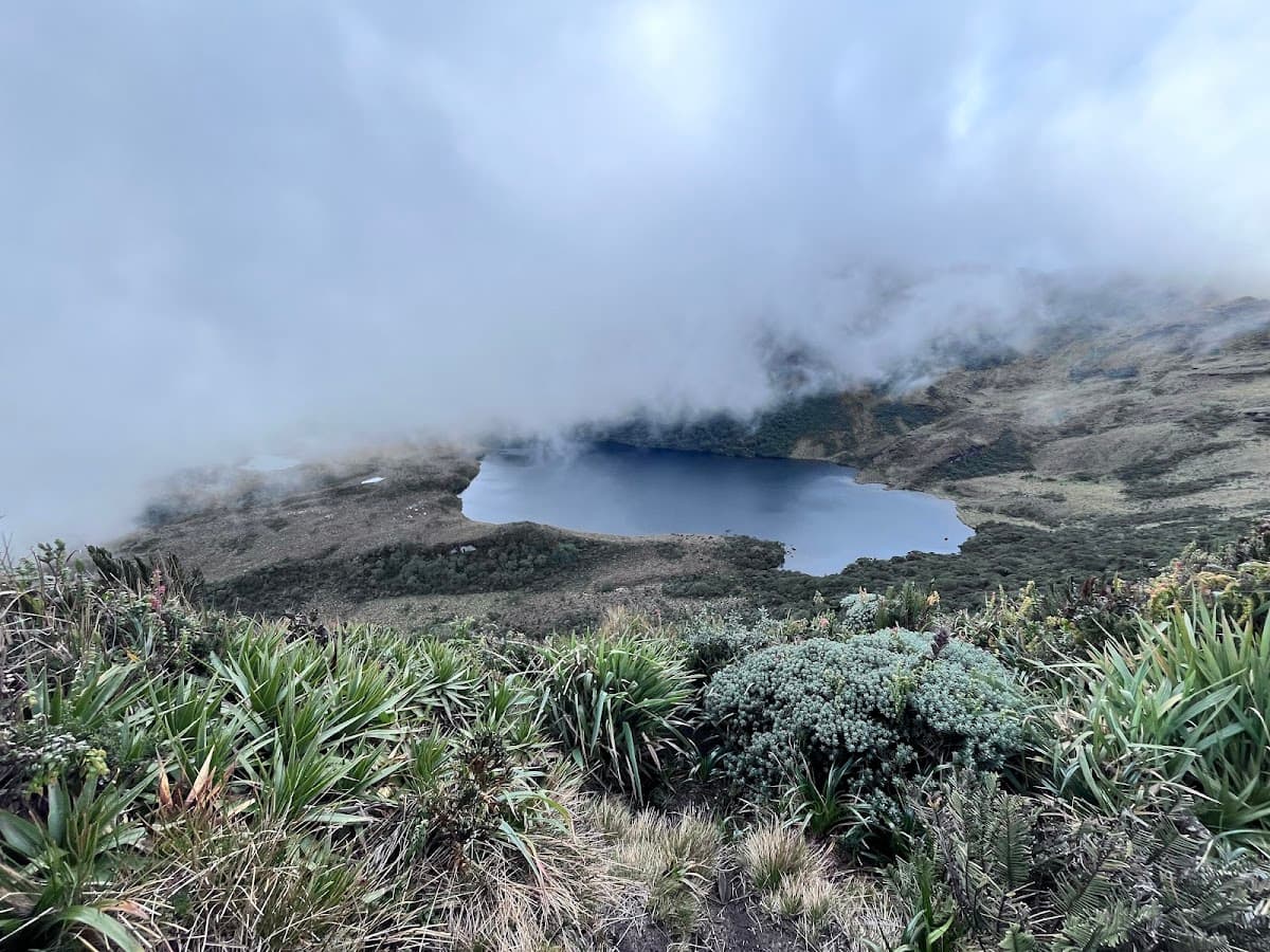De Montaña — foto