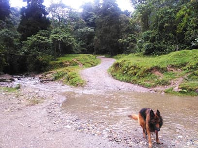 Reserva Ecológica Río Blanco