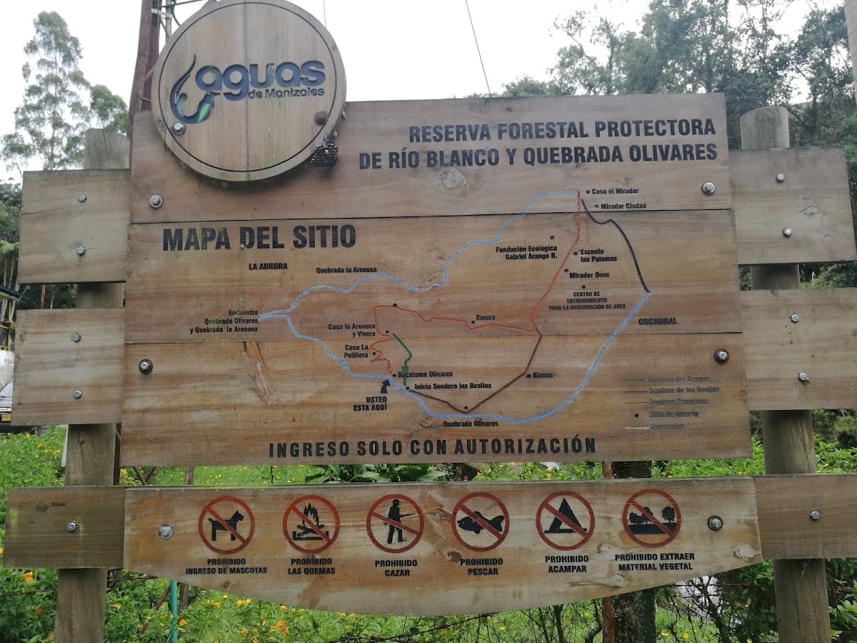 Reserva Ecológica Río Blanco — foto
