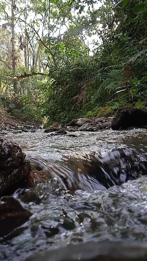 Reserva Ecológica Río Blanco — foto