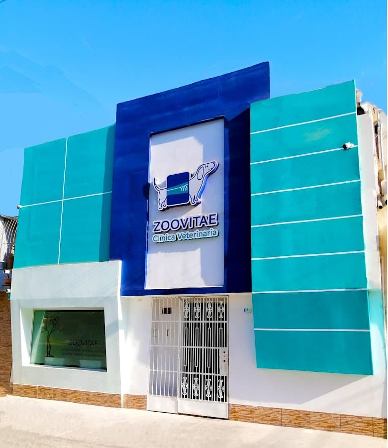 Zoovitae Centro Especializado — foto