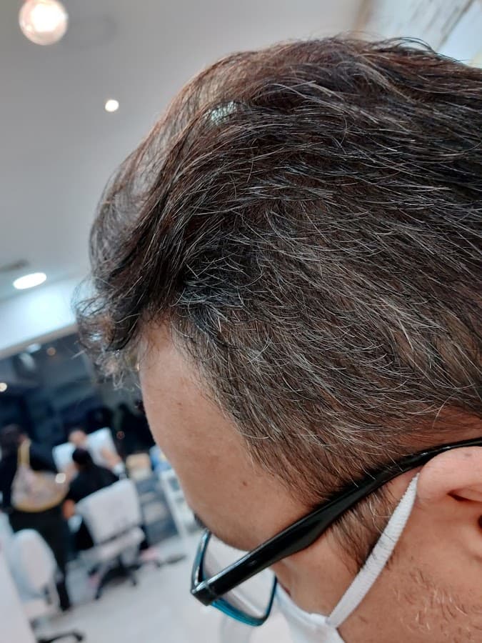 Intercorpus Spa — foto