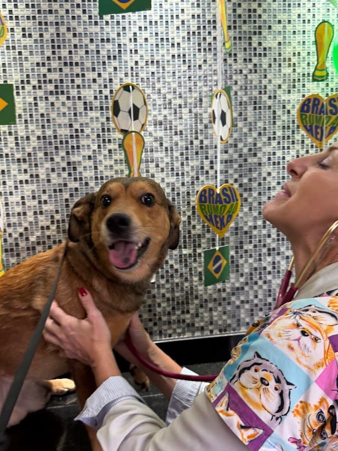 Vetval Veterinary Clinic in Trinidad — foto