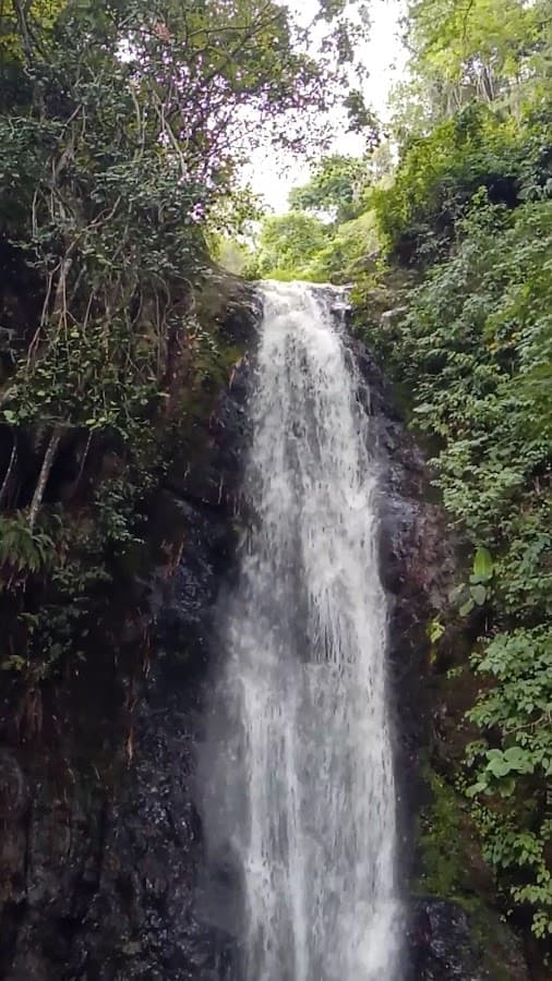 Parque Los Chorros — foto