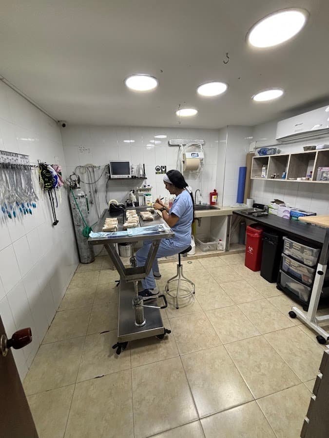 ARKA VETERINARIA