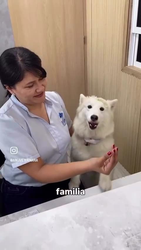 ARKA VETERINARIA — foto