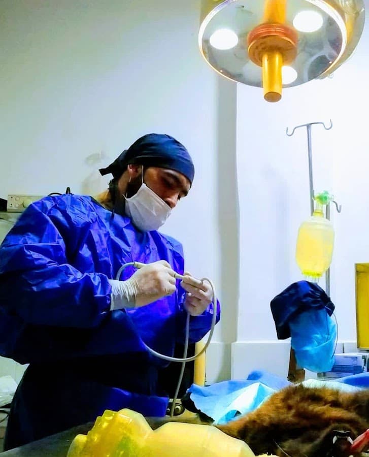 Centro Veterinario FullDog — foto