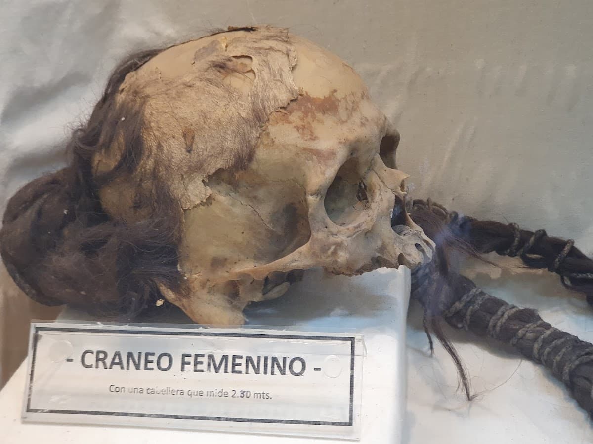 Yalpana Wasi - Museo de la Memoria — foto