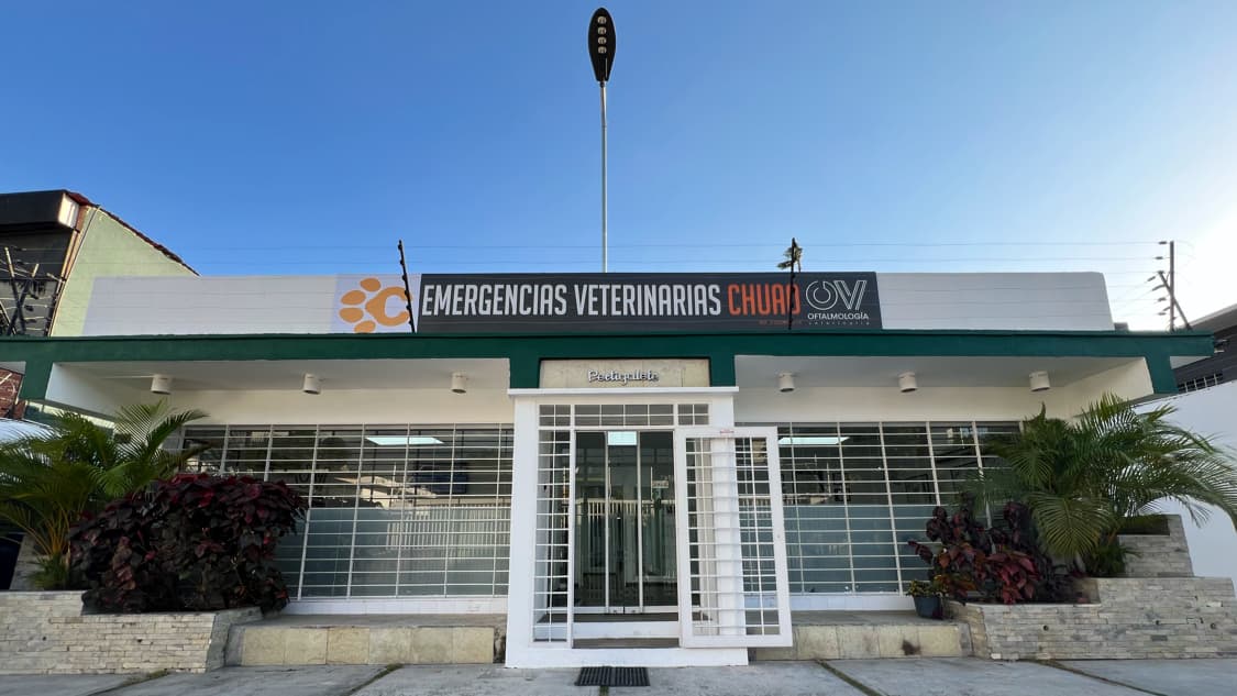 Emergencias Veterinarias Chuao