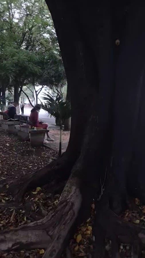Parque de los Niños — foto