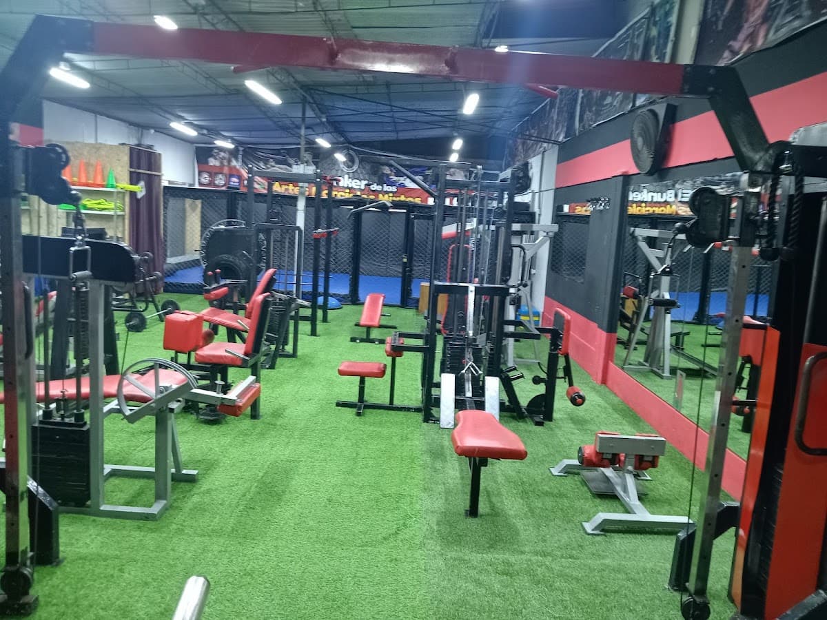 Strongman GYM Perú — foto