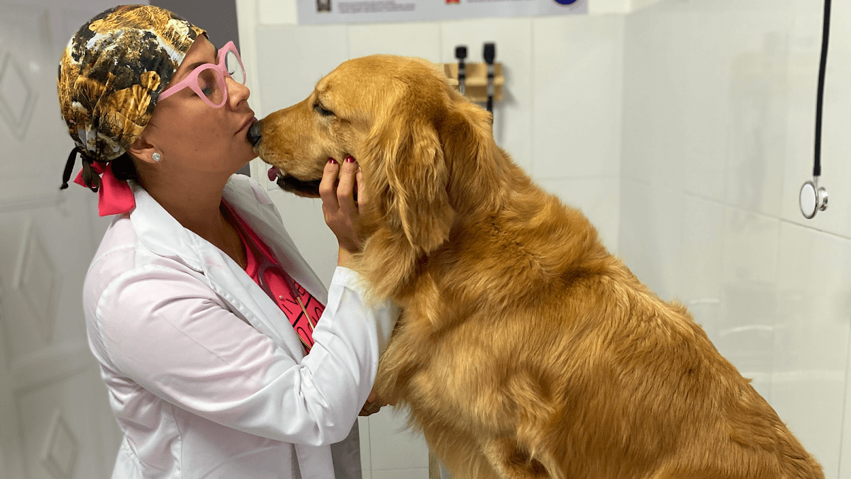 PetShop Animal Hospital