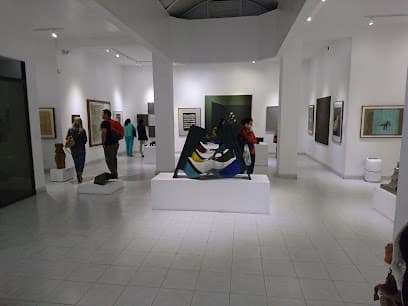 Casa Museo Negret y Museo Iberoamericano de Arte Moderno de Popayán