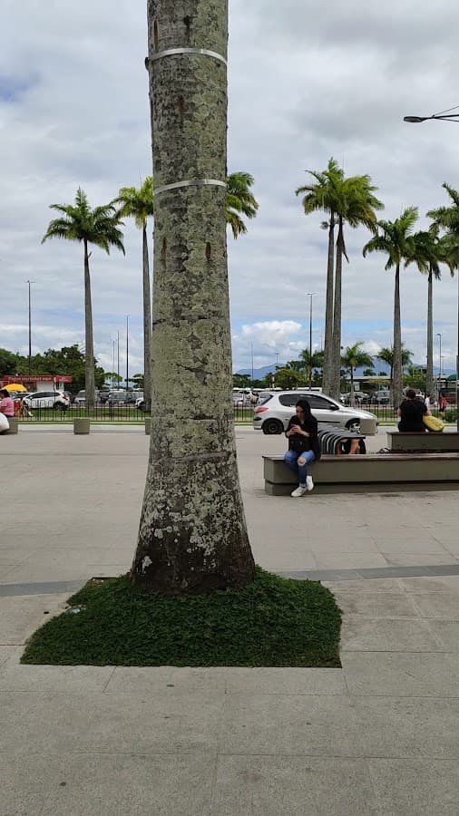 Customs Square — foto