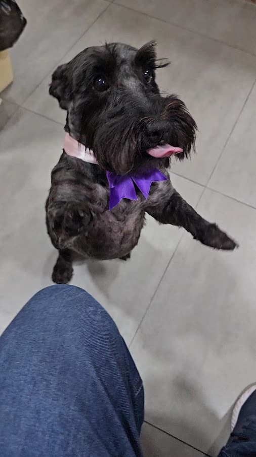 CENTRO VETERINARIO RAZAS — foto