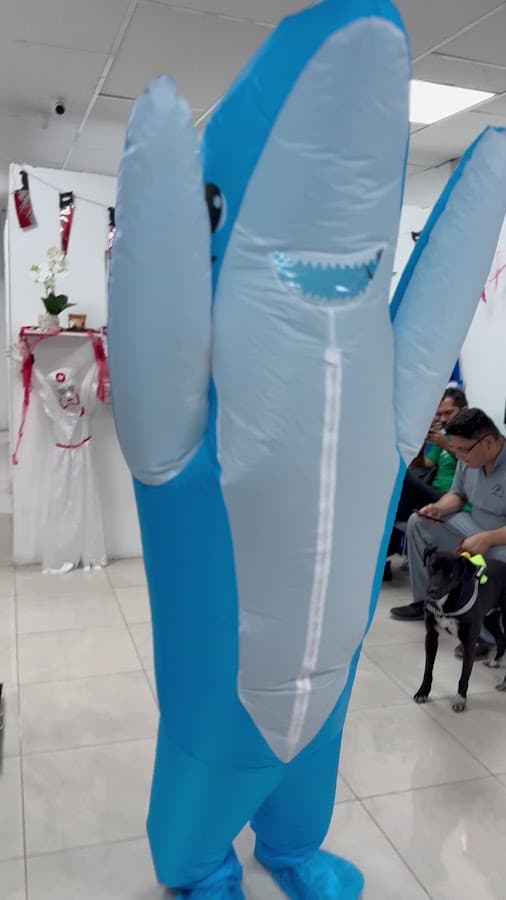 Clínica Veterinaria Instavet — foto