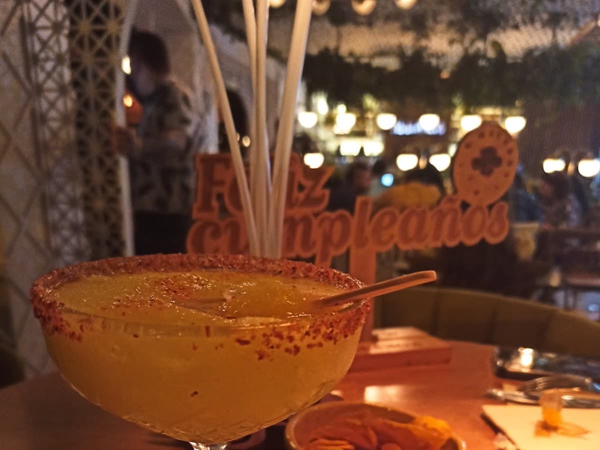 Malanga del trópico Laureles l Medellín — foto