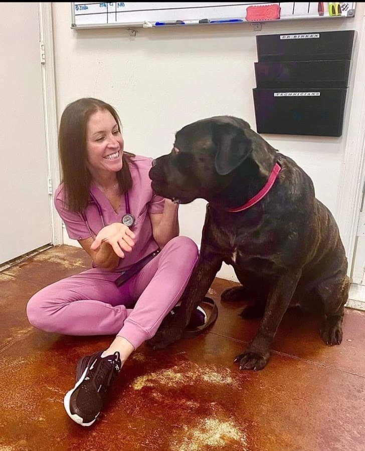 Victoria Park Animal Hospital — foto