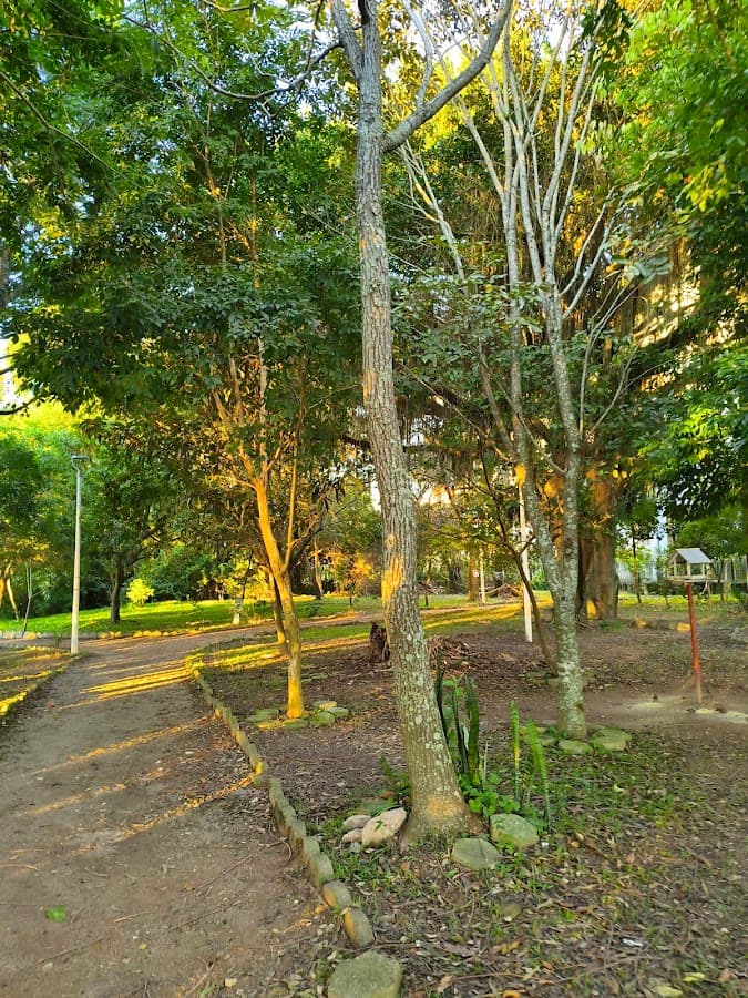 Parque Ecológico Comunitário Ilha das Conchas — foto
