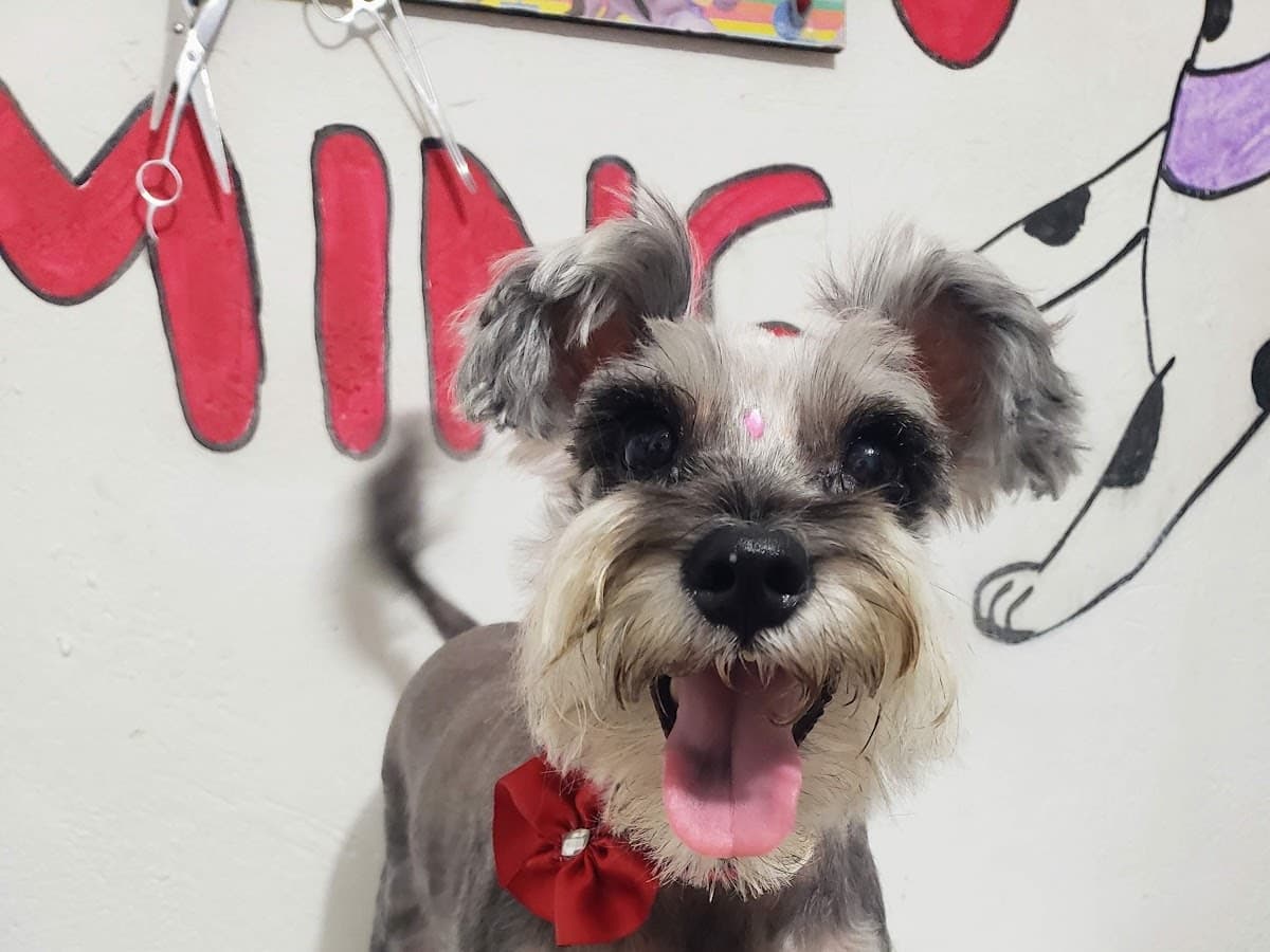 Veterinaria San Fernando — foto