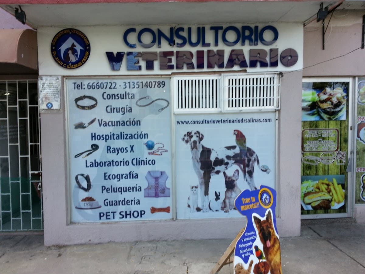 Veterinaria San Fernando — foto