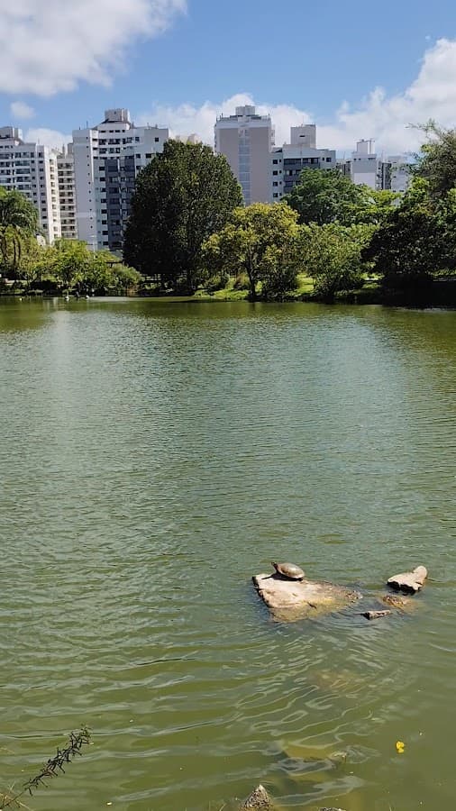 Florianópolis Botanical Garden — foto