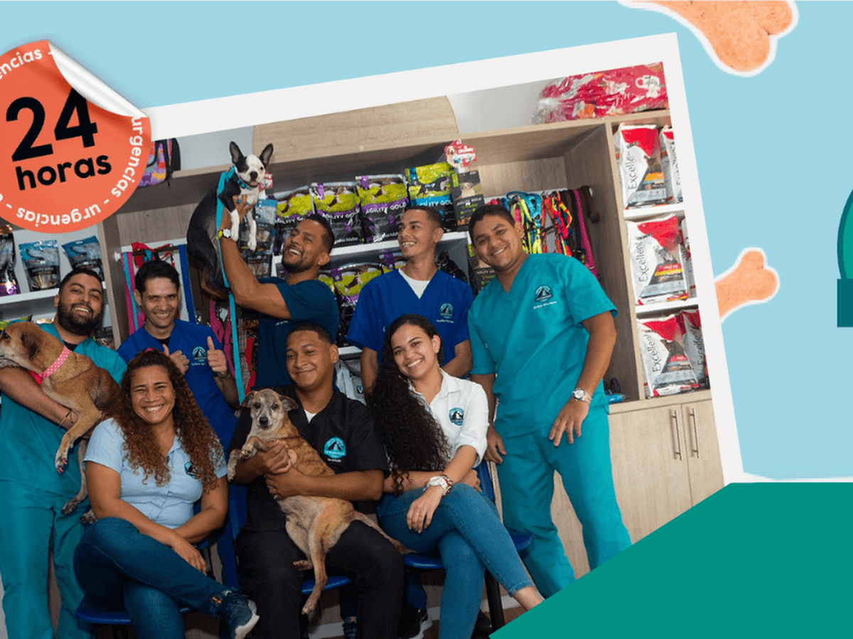 Veterinaria Animalista — foto