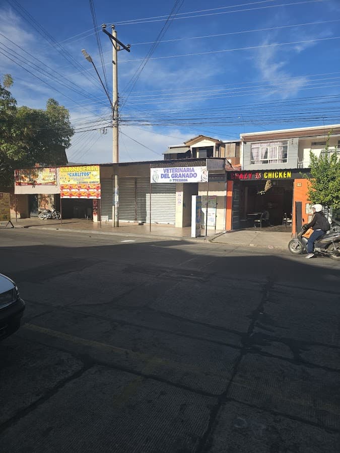 Veterinaria Del Granado — foto