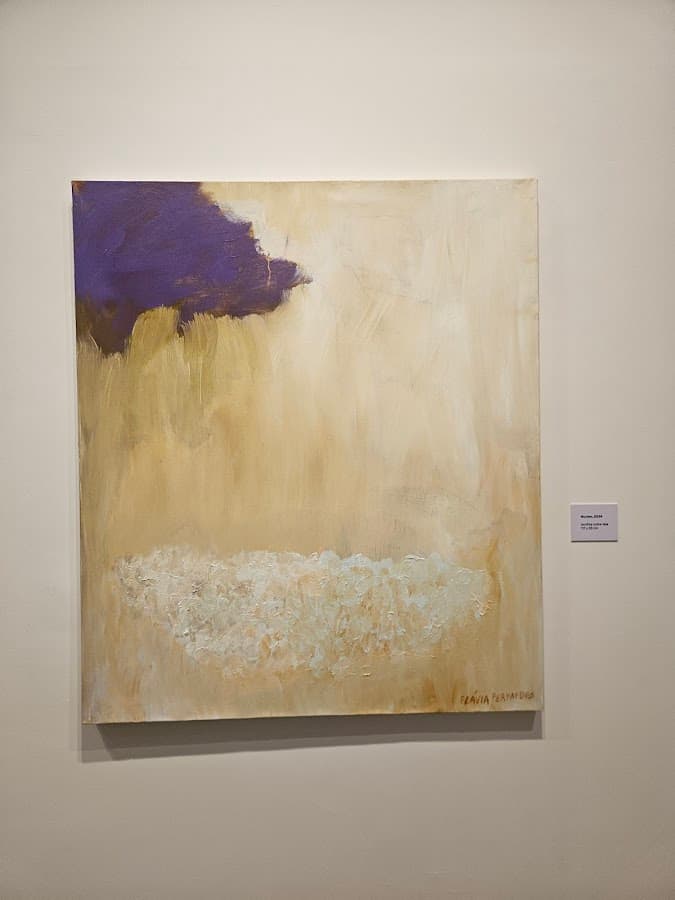 Santa Catarina Art Museum — foto