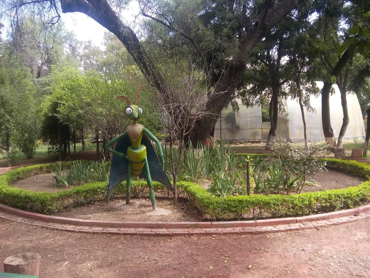 Parque Escuela — foto