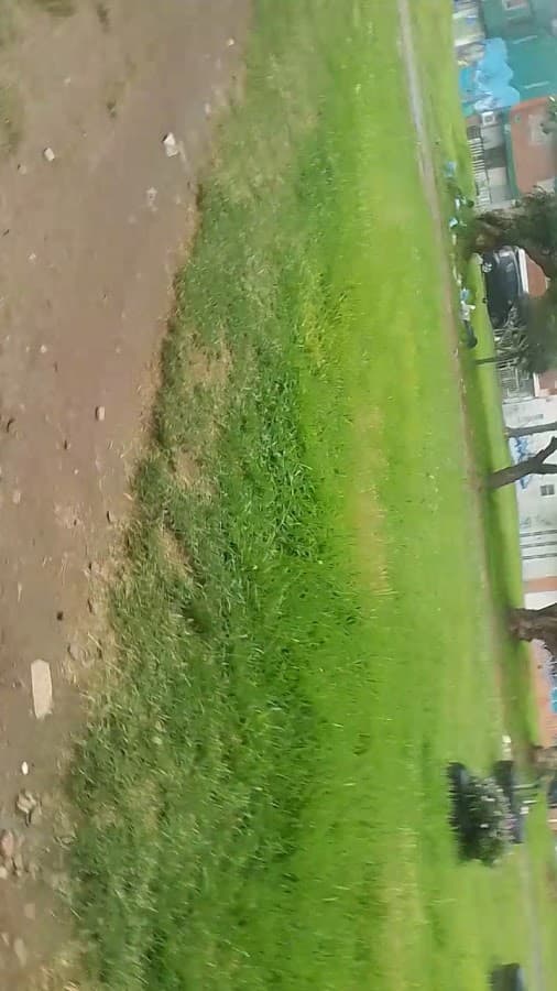 Parque Lagos De Suba — foto
